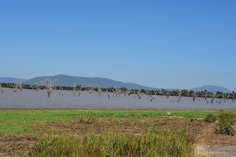 セルー動物保護区の画像6