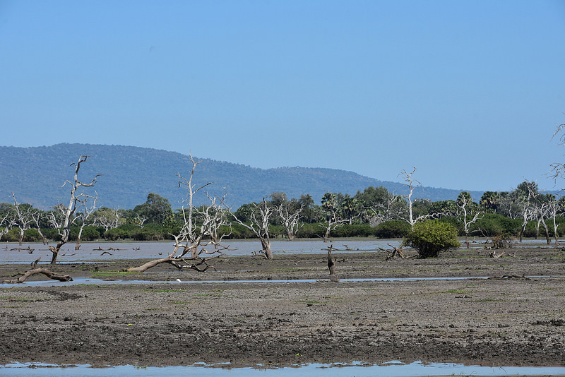 セルー動物保護区の画像8