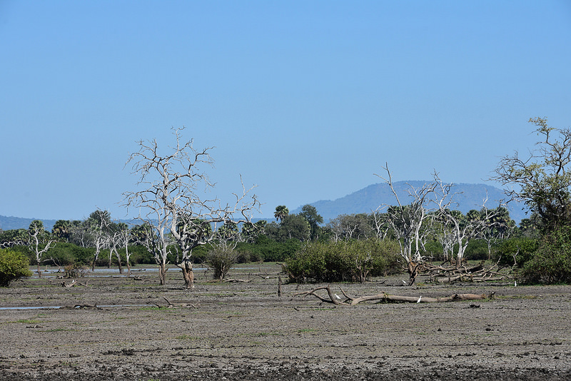 セルー動物保護区の画像9