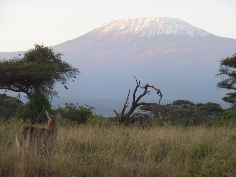 キリマンジャロ国立公園の画像16