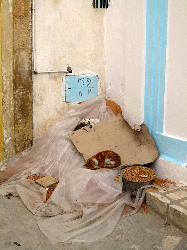 スース旧市街の画像9