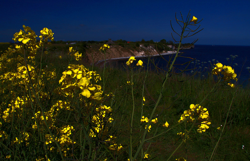 ステウンス・クリントの画像7