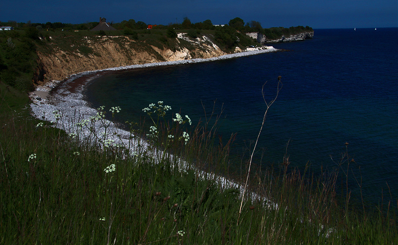 ステウンス・クリントの画像8