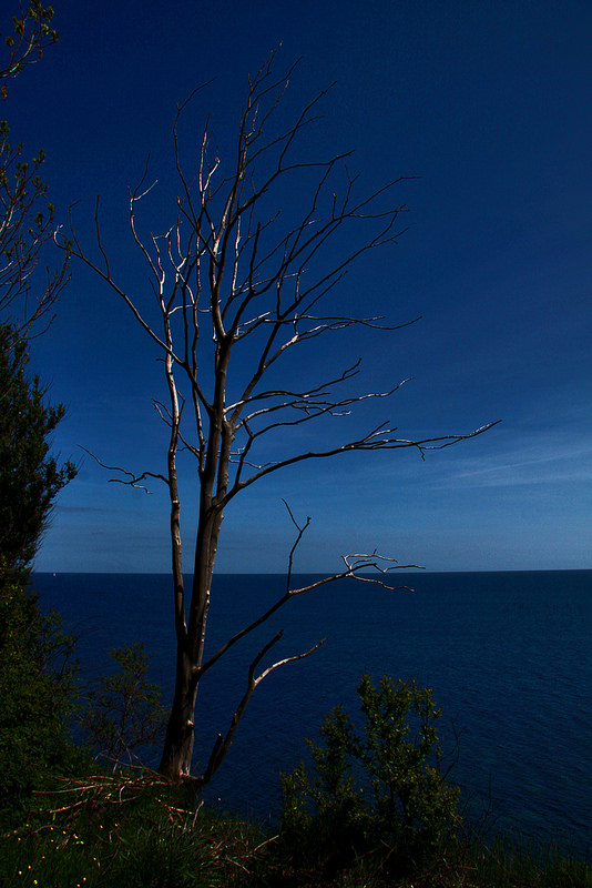 ステウンス・クリントの画像12