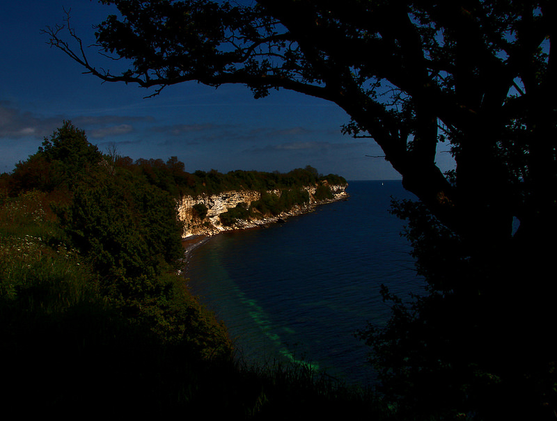 ステウンス・クリントの画像27