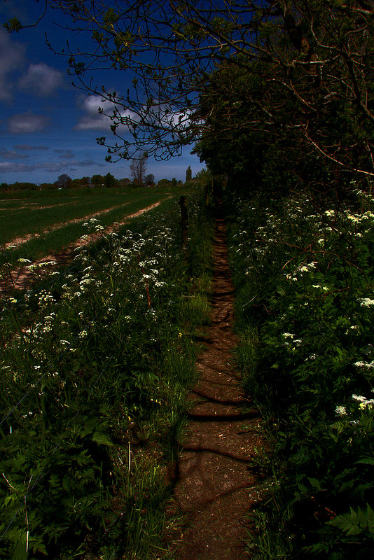 ステウンス・クリントの画像28