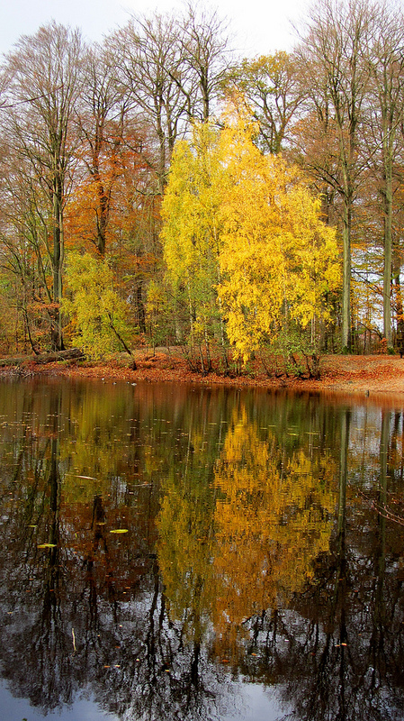 ストア・ディレハーヴェの画像4