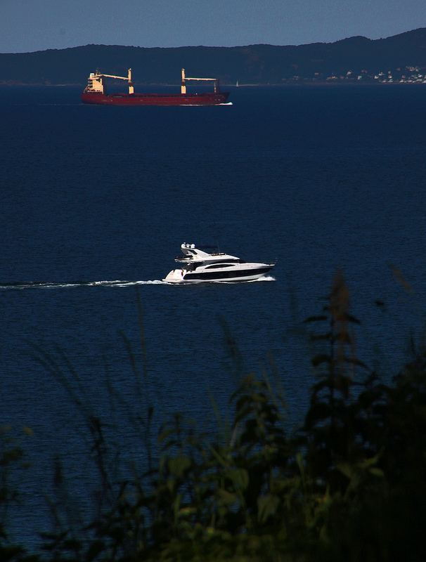 シェラン島北部のパル・フォルス狩猟景観の画像10