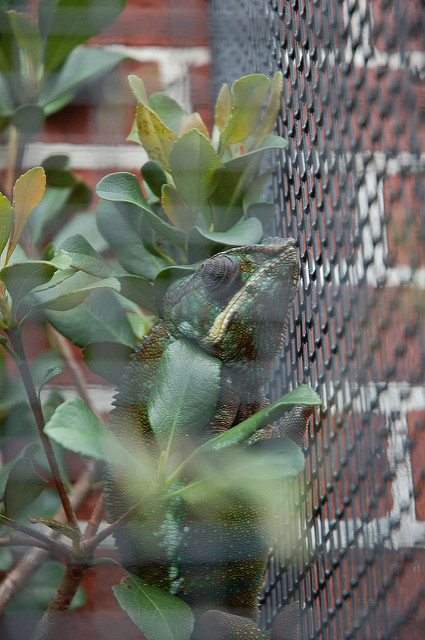 ヴュルツブルクの司教館と庭園群の画像13