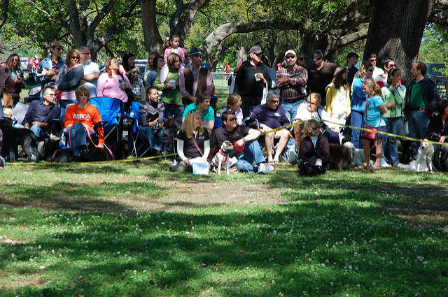 ヴュルツブルクの司教館と庭園群の画像15