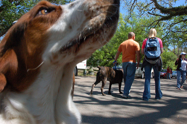 ヴュルツブルクの司教館と庭園群の画像16