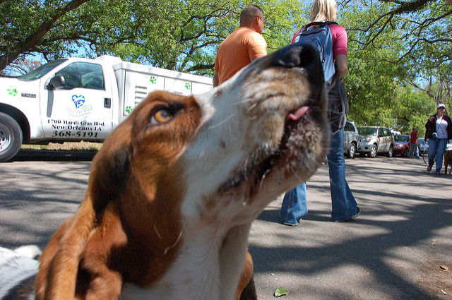 ヴュルツブルクの司教館と庭園群の画像18