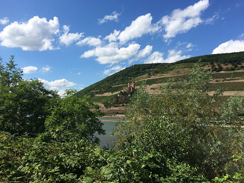 ライン渓谷中流上部の画像12
