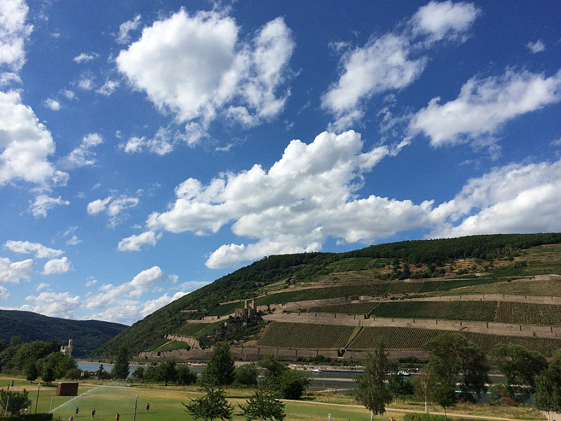 ライン渓谷中流上部の画像15