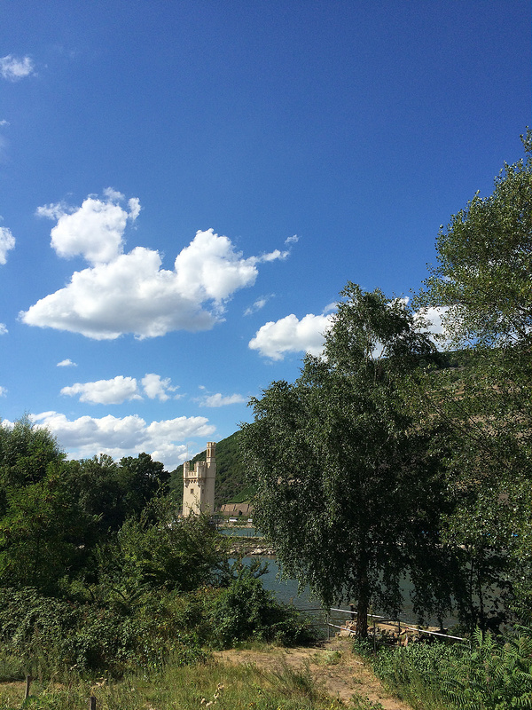 ライン渓谷中流上部の画像16