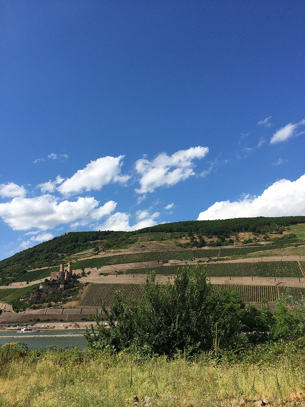 ライン渓谷中流上部の画像17