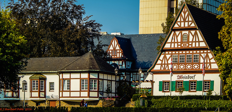 ライン渓谷中流上部の画像18