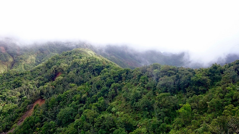 モルヌ・トロワ・ピトン国立公園の画像3