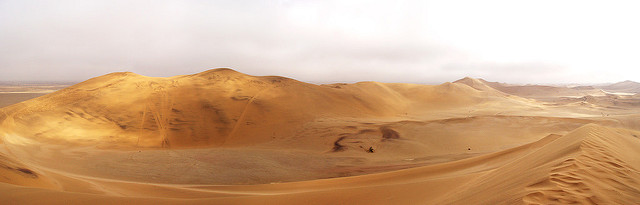 ナミブ砂海の画像14