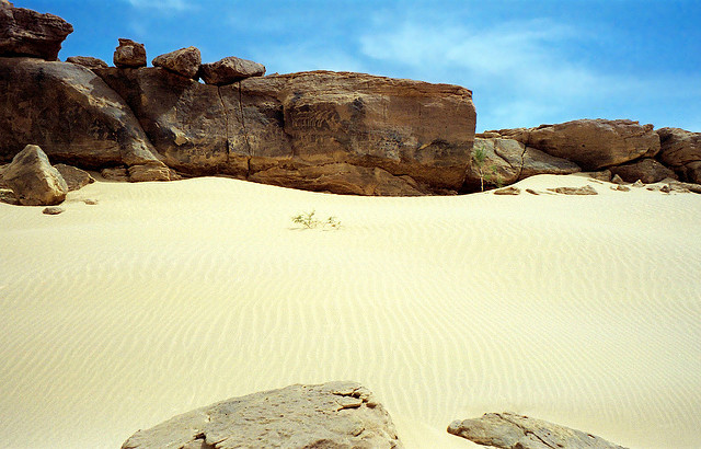 アイルとテネレの自然保護区群の画像1