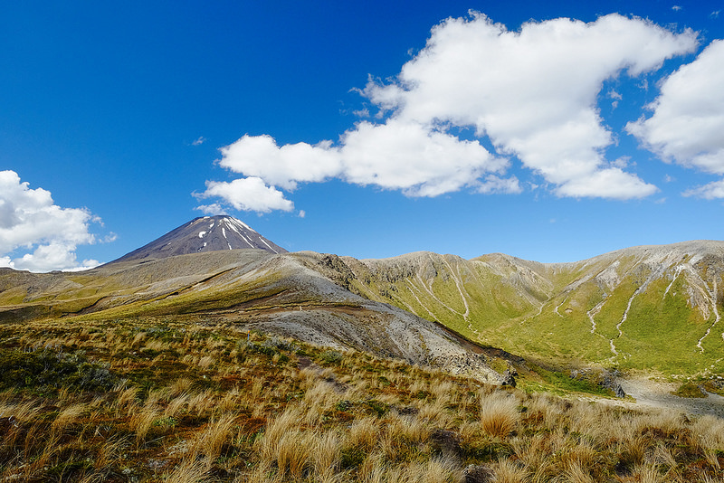 トンガリロ国立公園の画像7
