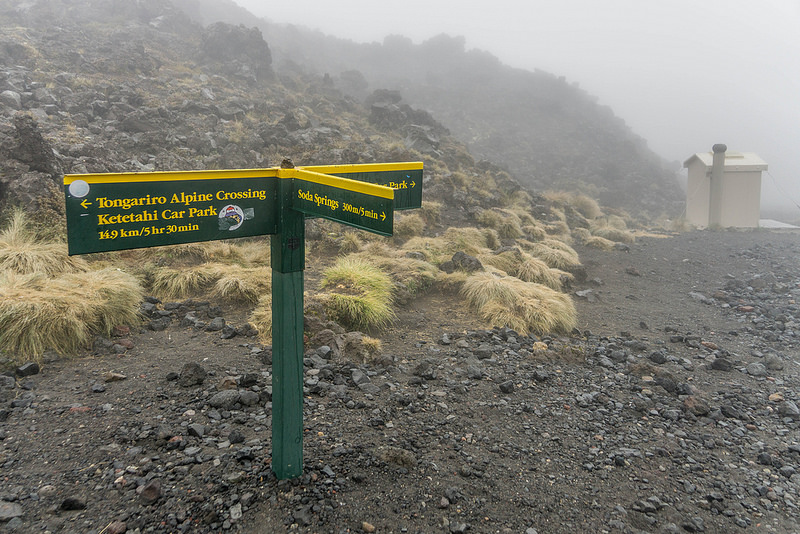 トンガリロ国立公園の画像8