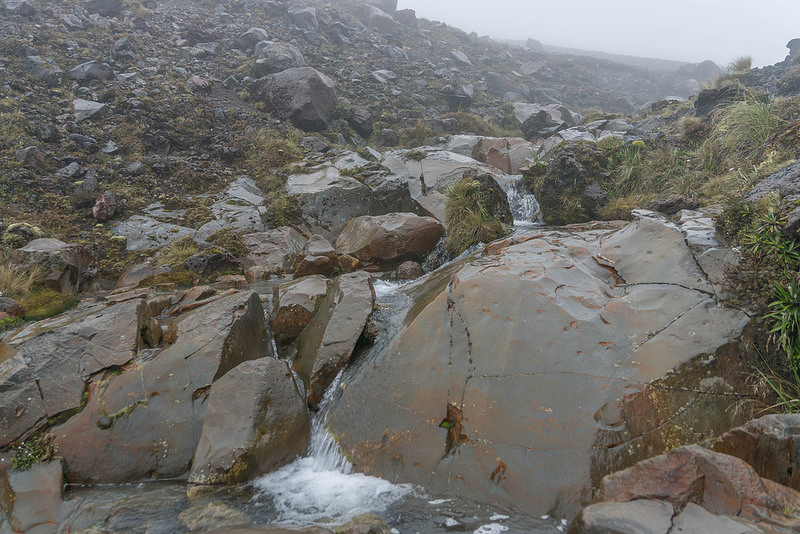 トンガリロ国立公園の画像13