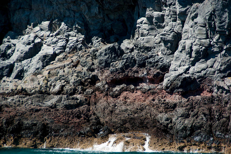 ニュージーランドの亜南極諸島の画像9