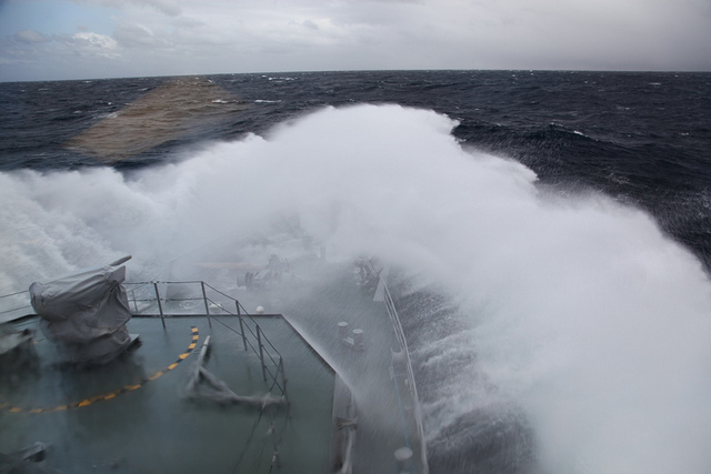 ニュージーランドの亜南極諸島の画像20