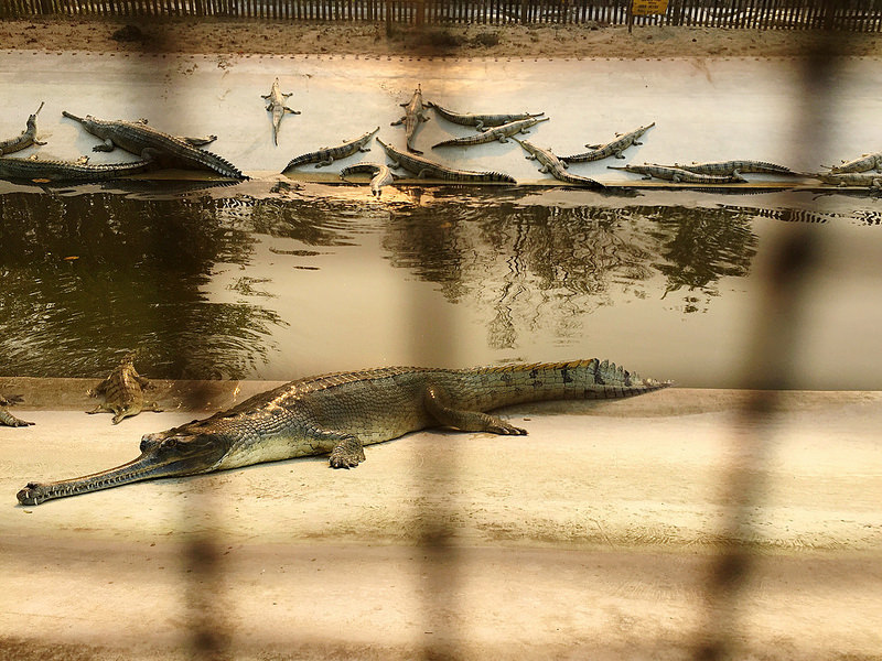 チトワン国立公園の画像12
