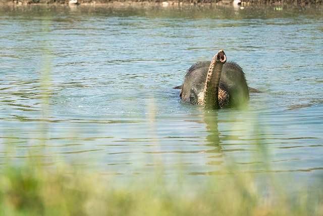 チトワン国立公園の画像14