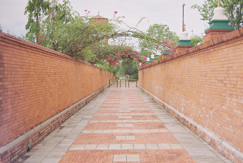 仏陀の生誕地ルンビニの画像5