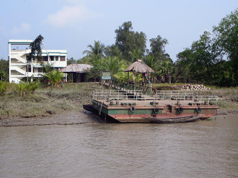 シュンドルボンの画像23