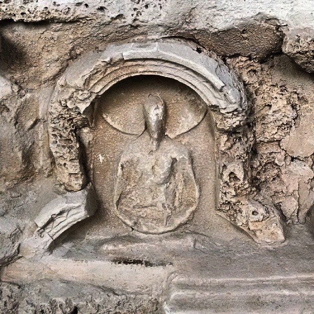 タキシラの画像9