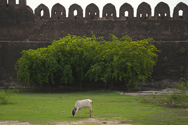 ロータス城塞の画像14