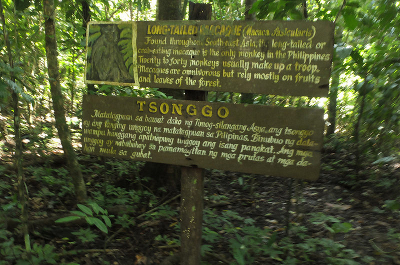 プエルト・プリンセサ地下河川国立公園の画像9