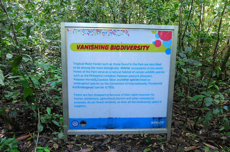 プエルト・プリンセサ地下河川国立公園の画像10