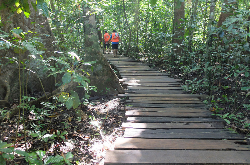 プエルト・プリンセサ地下河川国立公園の画像11