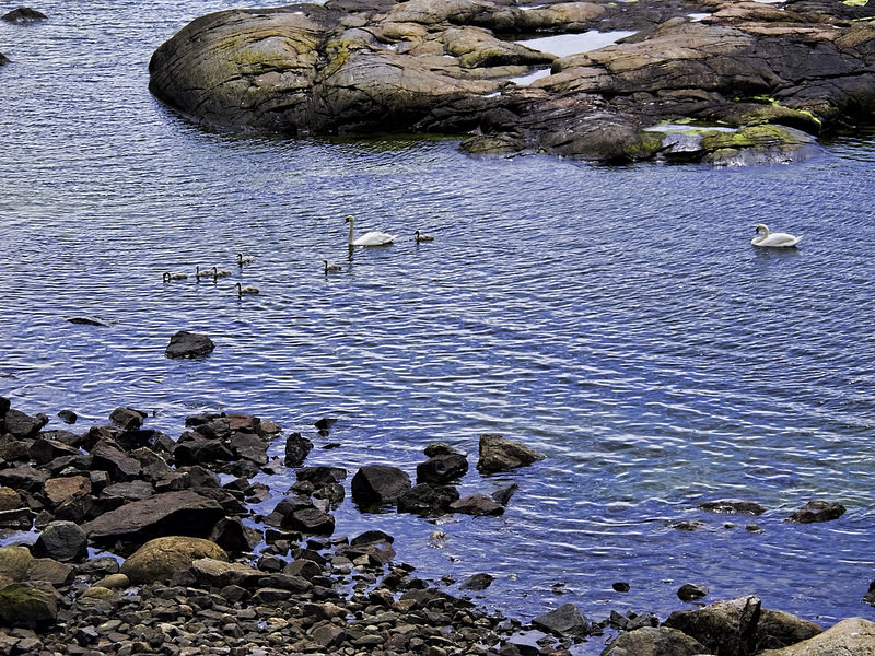 スオメンリンナの要塞群の画像6