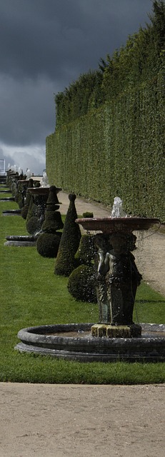 ヴェルサイユ宮殿と庭園の画像6