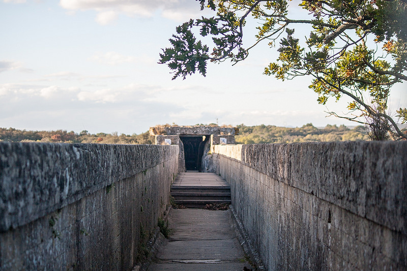 ポン・デュ・ガール（ローマの水道橋）の画像24