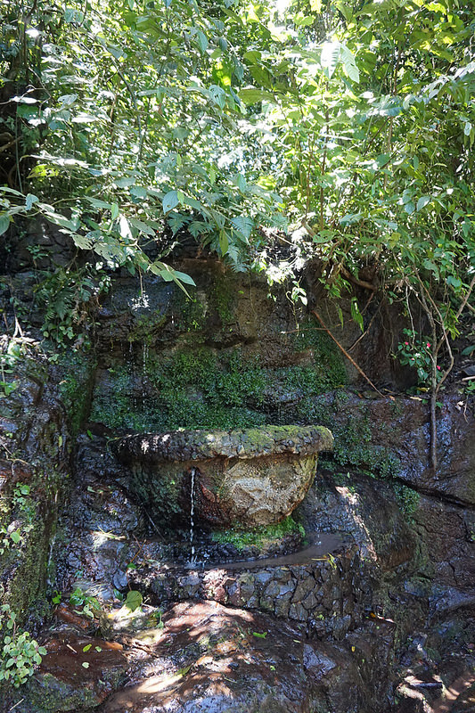イグアス国立公園の画像16