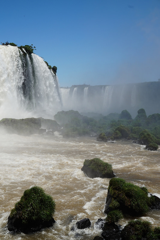 イグアス国立公園の画像23