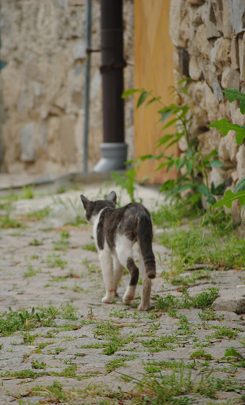 古代都市ネセバルの画像18
