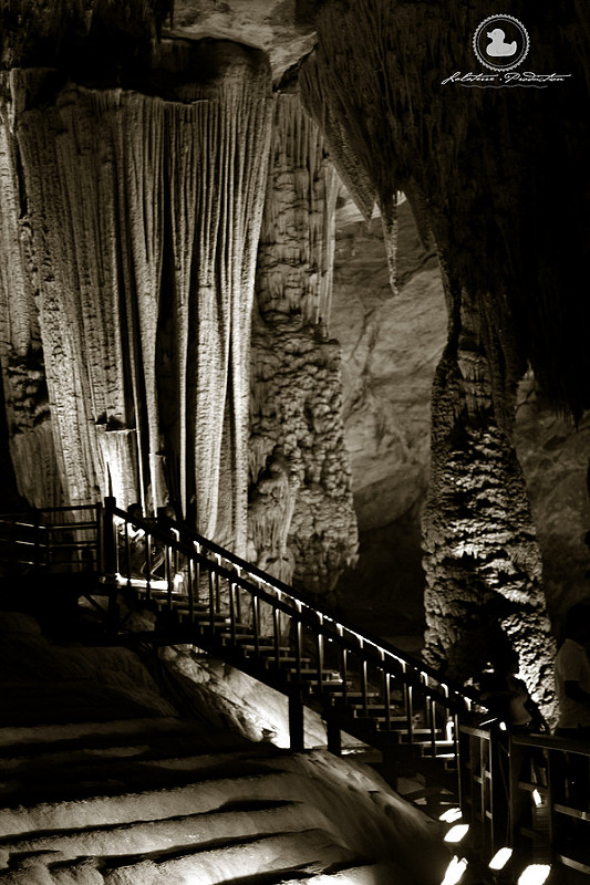 フォン・ニャ-ケ・バン国立公園の画像23