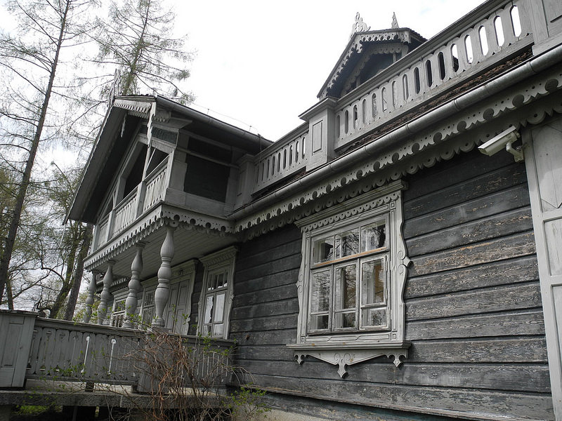 ビャウォヴィエジャの森の画像14