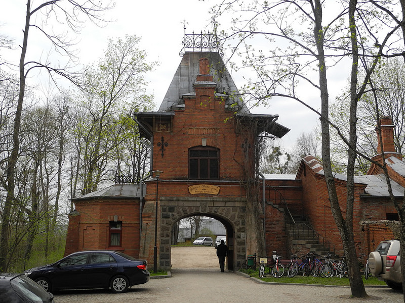 ビャウォヴィエジャの森の画像15