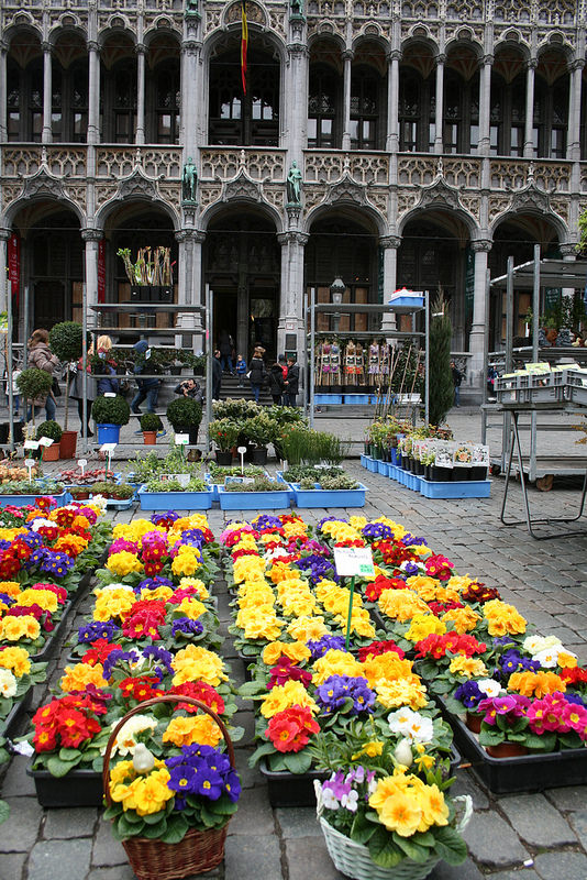 ブリュッセルのグラン・プラスの画像8