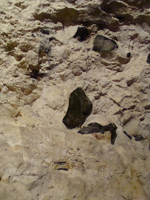 スピエンヌの新石器時代の火打石の鉱山発掘地（モンス）の画像4