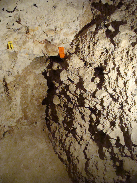 スピエンヌの新石器時代の火打石の鉱山発掘地（モンス）の画像5